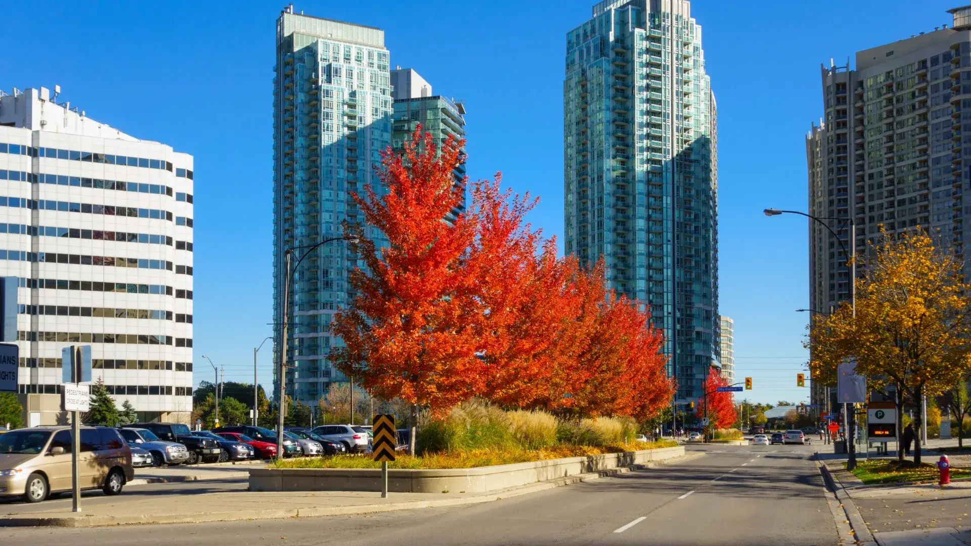 Mississauga